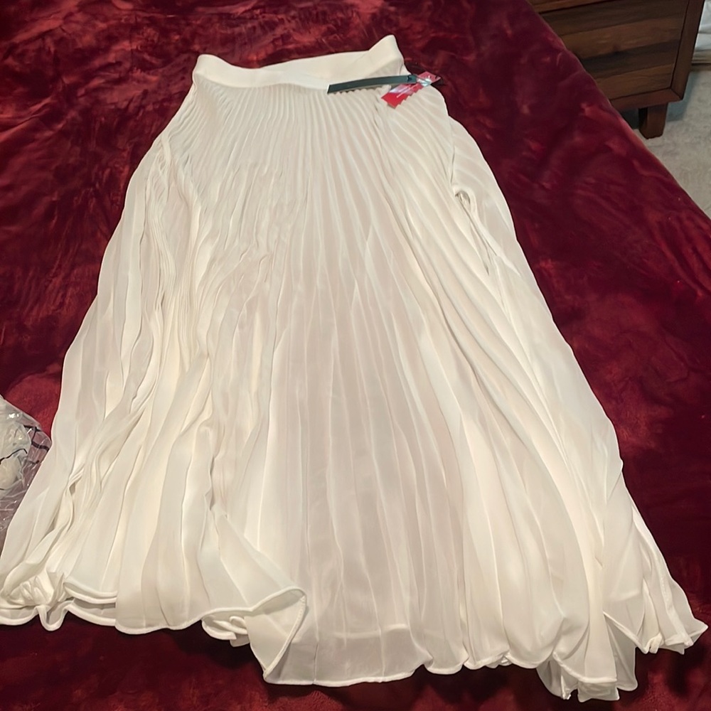 Carbon38 mesh pleated skirt